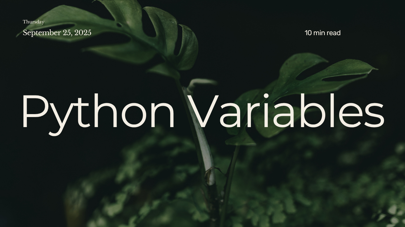 Python Variables