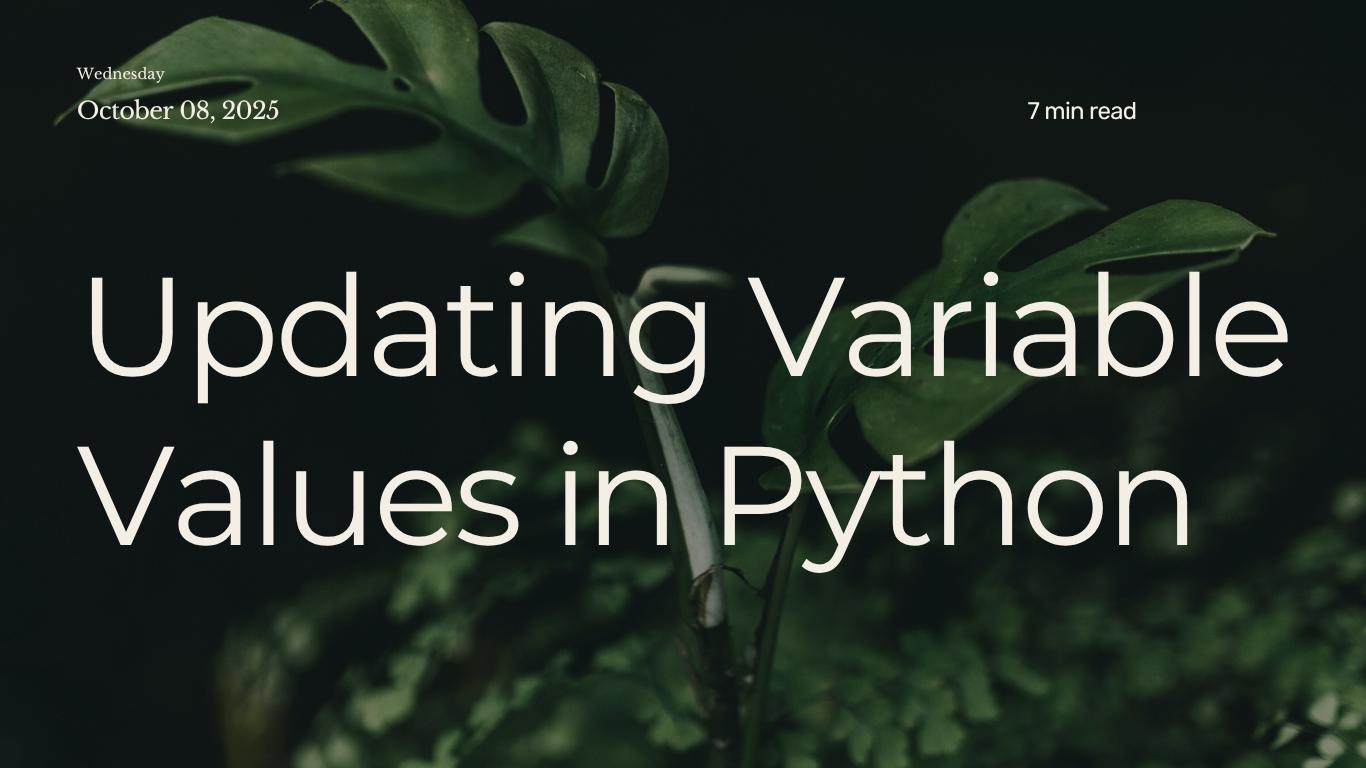 How to Update Variable Values in Python