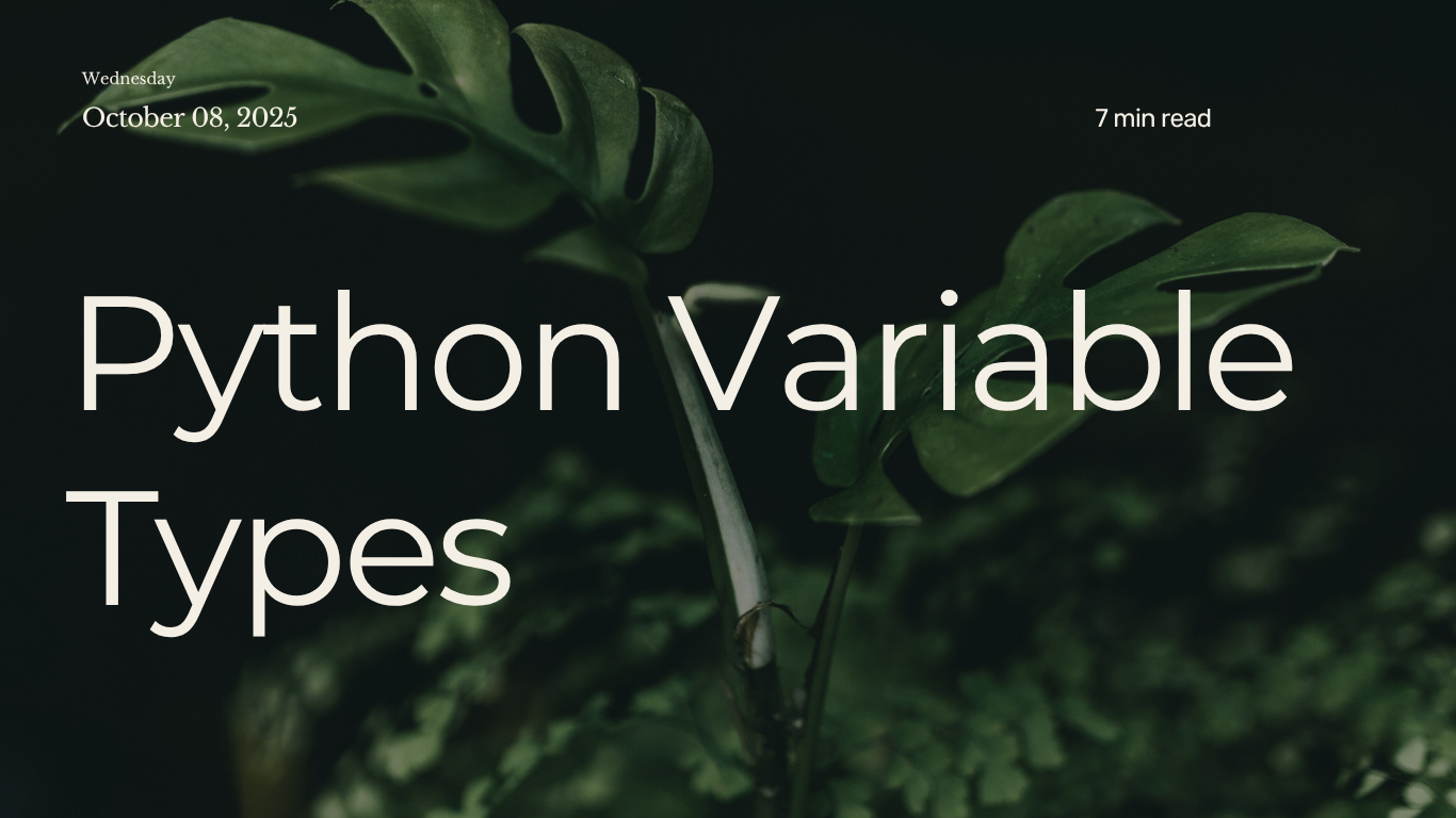 Python Variable Types