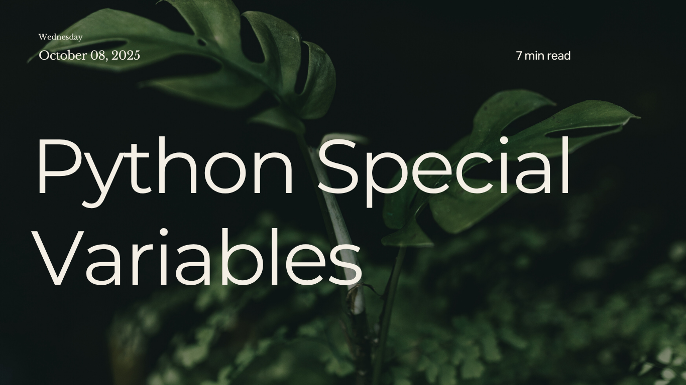 Special Variables in Python